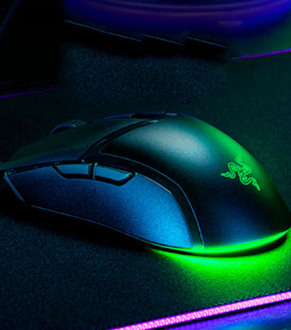 Mouse